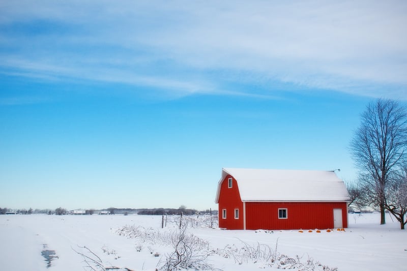 The White Barn